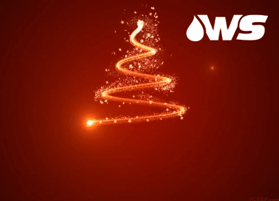 CHRISTMAS WS